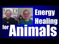 Energy Healing For Animals with Zoe Hobden